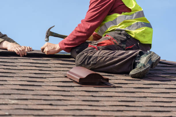 Best Local Roofing Companies  in Lakeview, MI