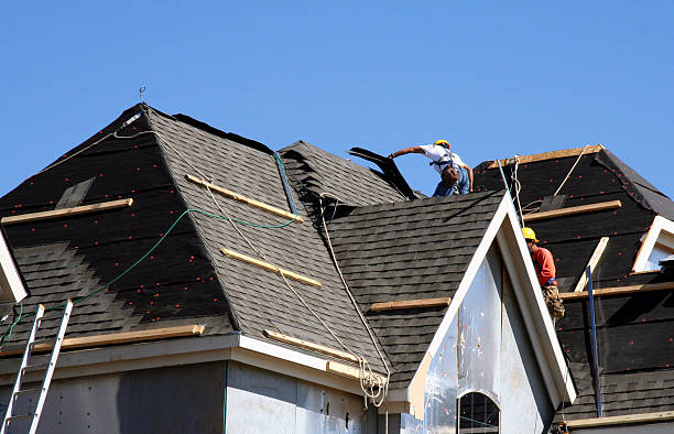 Best Shingle Roofing Installation  in Lakeview, MI