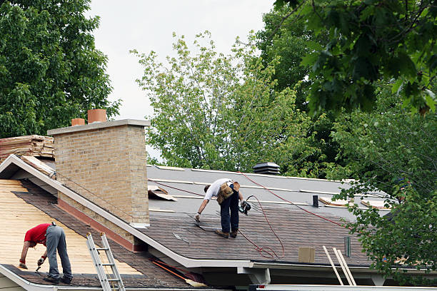 Best Residential Roof Replacement  in Lakeview, MI