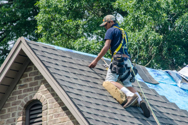 Residential Roof Replacement in Lakeview, MI